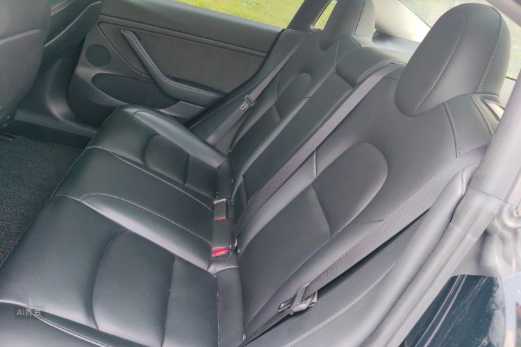 Tesla Model 3 2021 car image #19