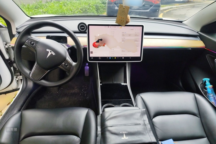 Tesla Model 3 2020 car image #11
