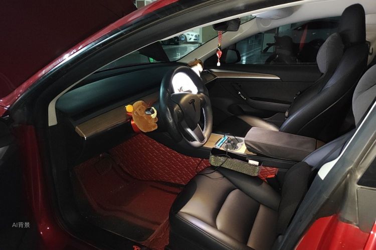 Tesla Model 3 2021 #18 Tesla Model 3 2021 car image #18