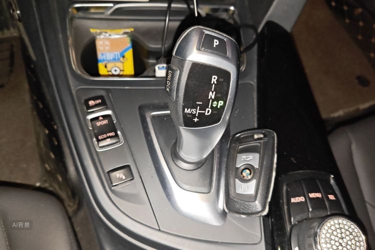 BMW 3 Series 2017 car image #16