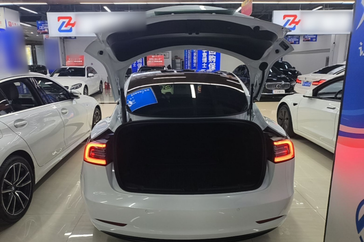 Tesla Model 3 2023 #21 Tesla Model 3 2023 car image #21