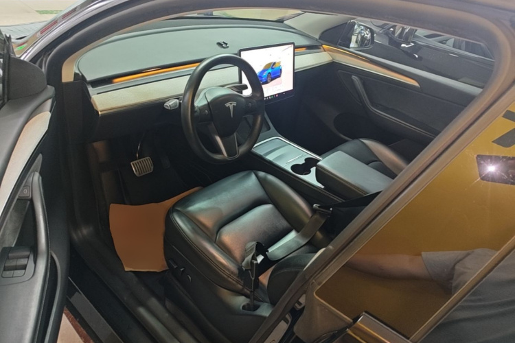 Tesla Model Y 2023 car image #12