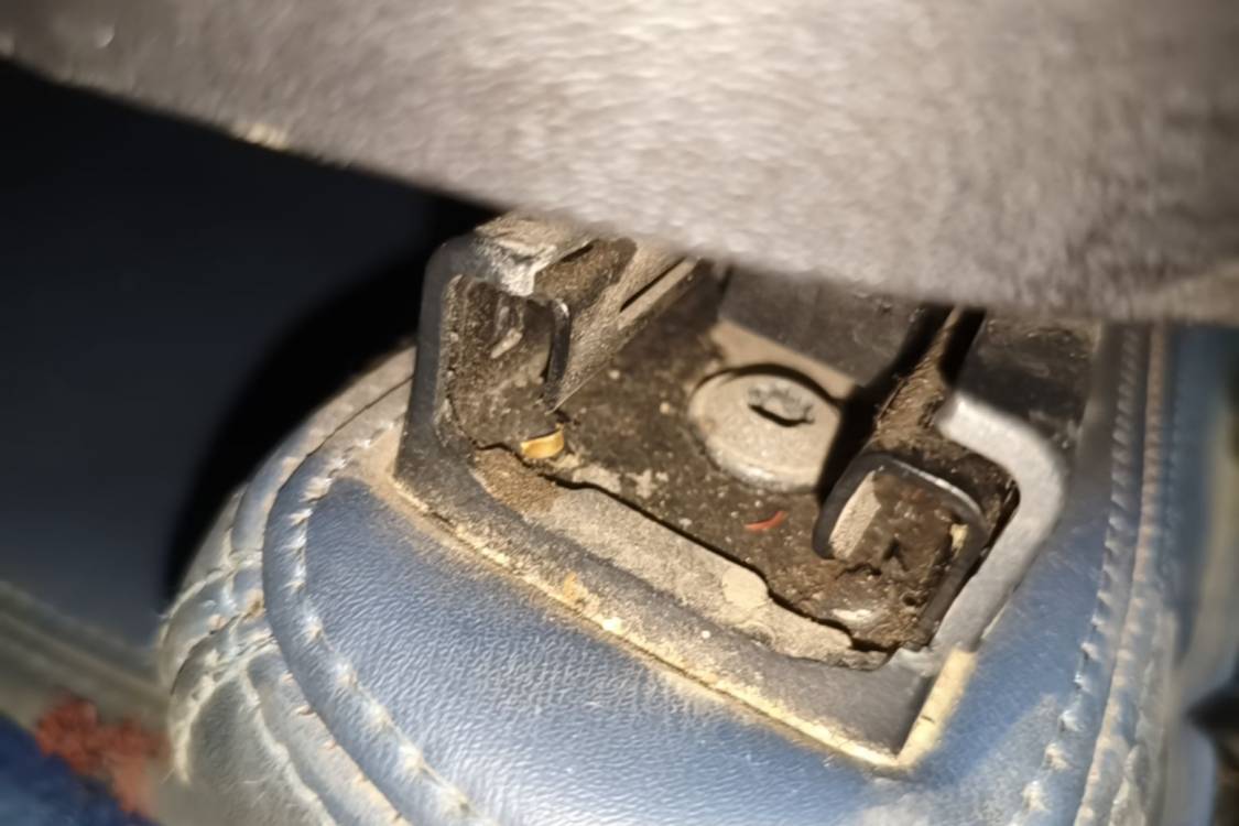 Tesla Model Y 2024 car image #23