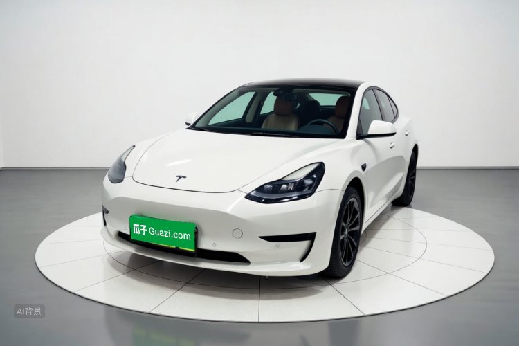 Tesla Model 3 2022 #2 Tesla Model 3 2022 car image #2