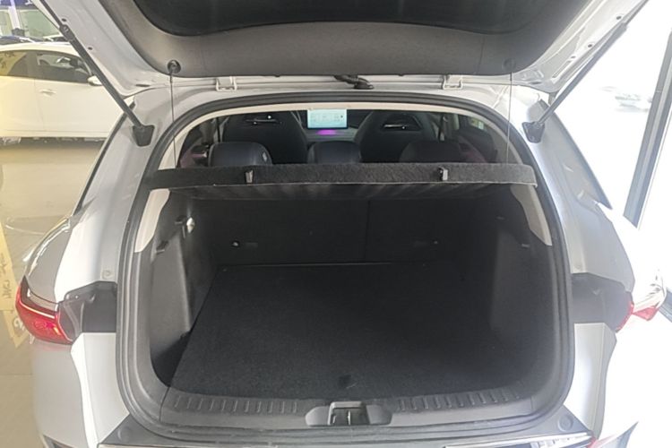 BYD Yuan Plus 2023 car image #19