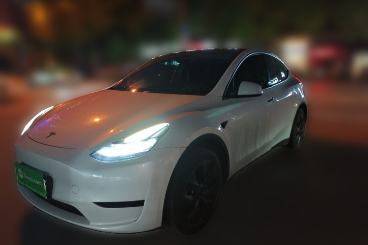 Tesla Model Y 2024 car image #2