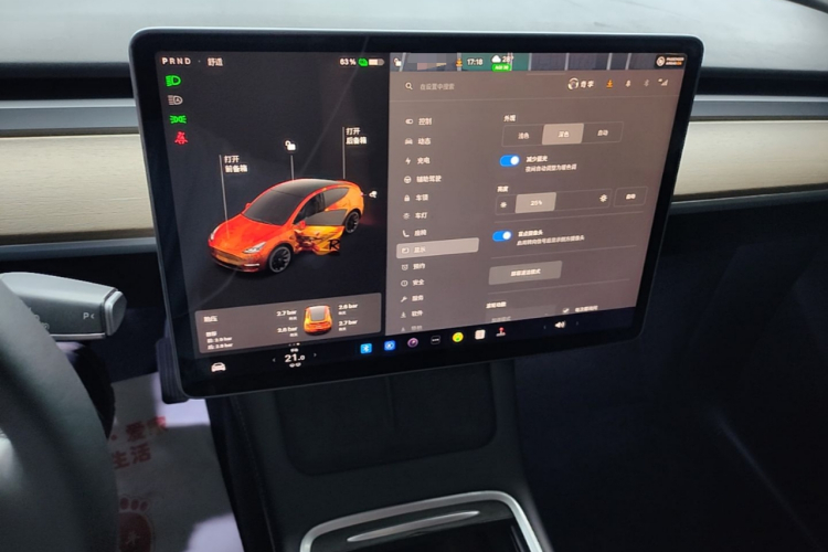 Tesla Model Y 2022 car image #13