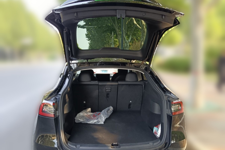 Tesla Model Y 2021 #17 Tesla Model Y 2021 car image #17