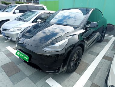 Tesla Model Y 2023 Tesla Model Y 2023 car image