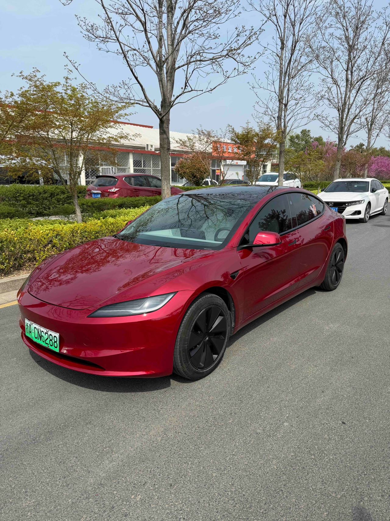 Tesla Model 3 2024 immagine di auto 