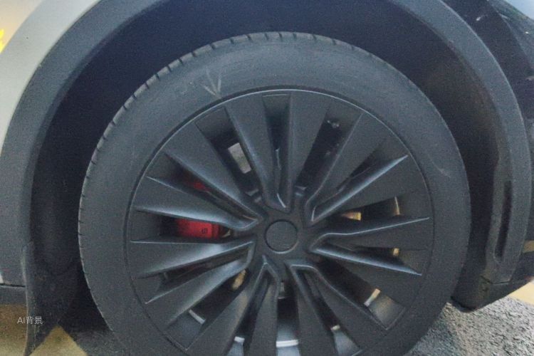 Tesla Model Y 2023 #9 Tesla Model Y 2023 car image #9