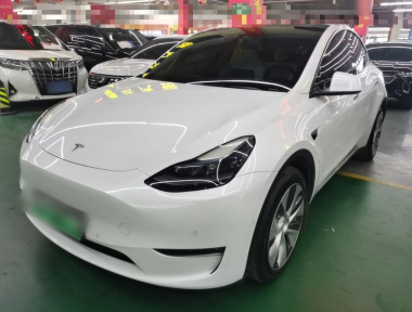 Tesla Model Y 2023 Tesla Model Y 2023 car image
