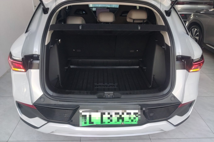 BYD Yuan Plus 2023 car image #19