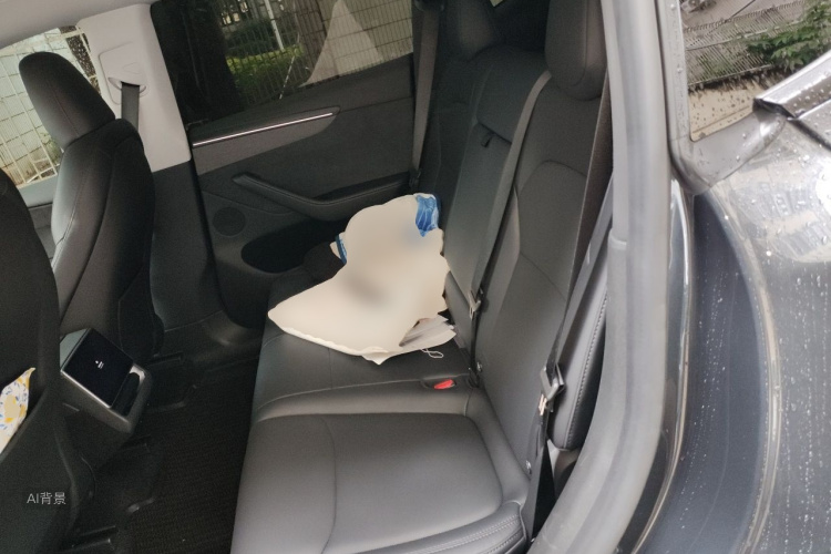 Tesla Model Y 2025 car image #19