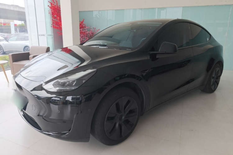 Tesla Model Y 2023 #2 Tesla Model Y 2023 immagine di auto #2