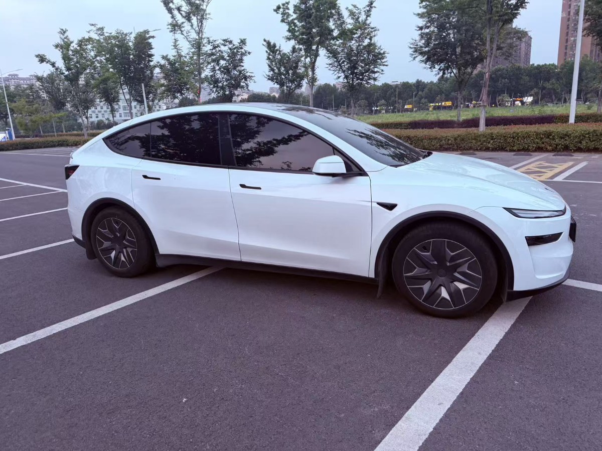 Tesla Model Y L 2025 car image #11