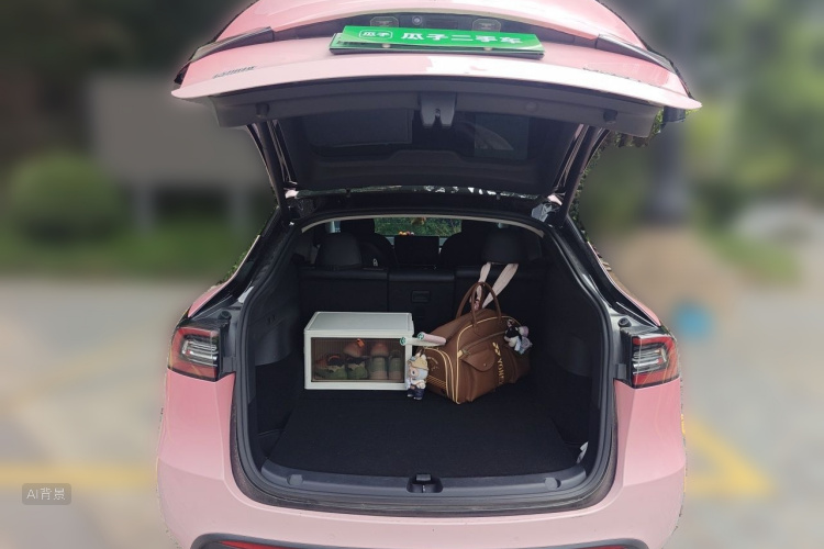 Tesla Model Y 2021 #21 Tesla Model Y 2021 car image #21