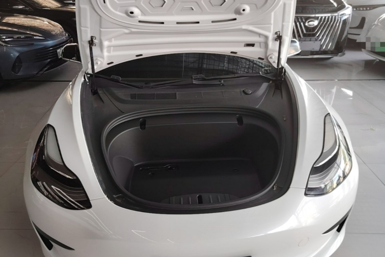 Tesla Model 3 2020 #20 Tesla Model 3 2020 car image #20