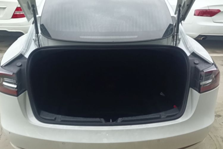 Tesla Model 3 2020 #19 Tesla Model 3 2020 car image #19