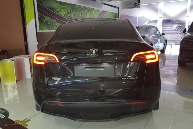 Tesla Model Y 2022 car image #6