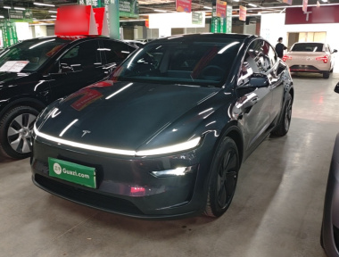 Tesla Model Y 2025 car image 