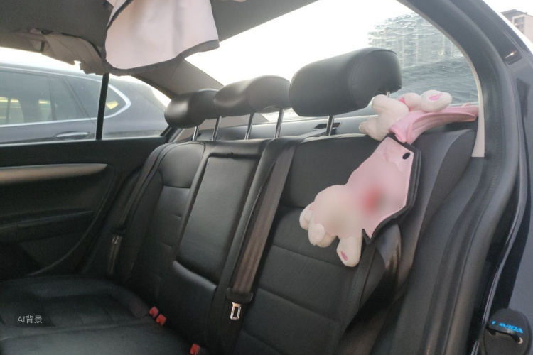 Volkswagen Lavida 2015 car image #19