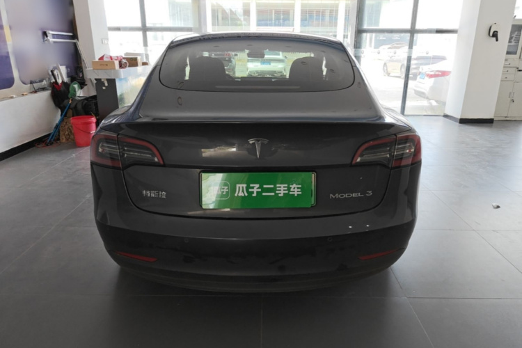 Tesla Model 3 2021 car image #6