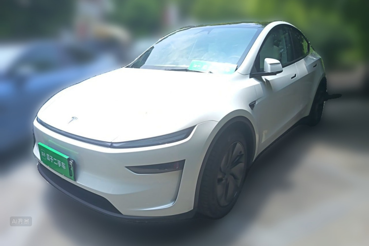 Tesla Model Y 2025 car image #2