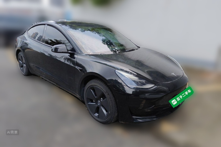 Tesla Model 3 2021 #4 Tesla Model 3 2021 car image #4