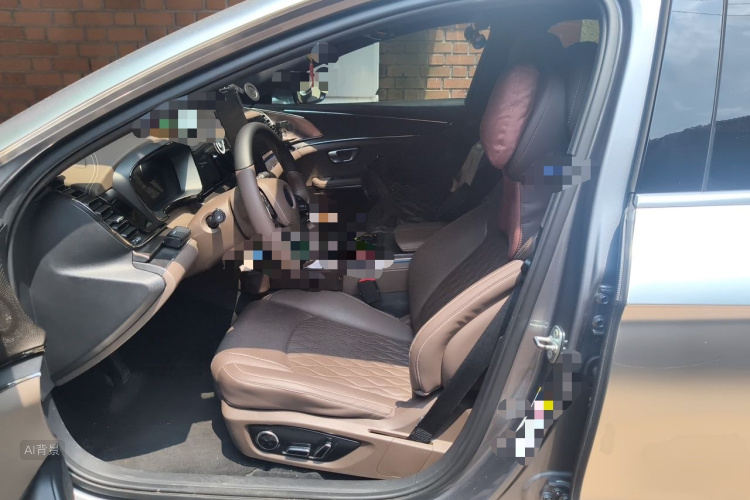 BYD Han 2021 car image #17