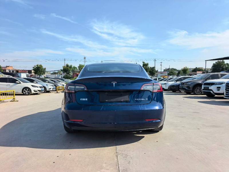 Tesla Model 3 2020 car image #7