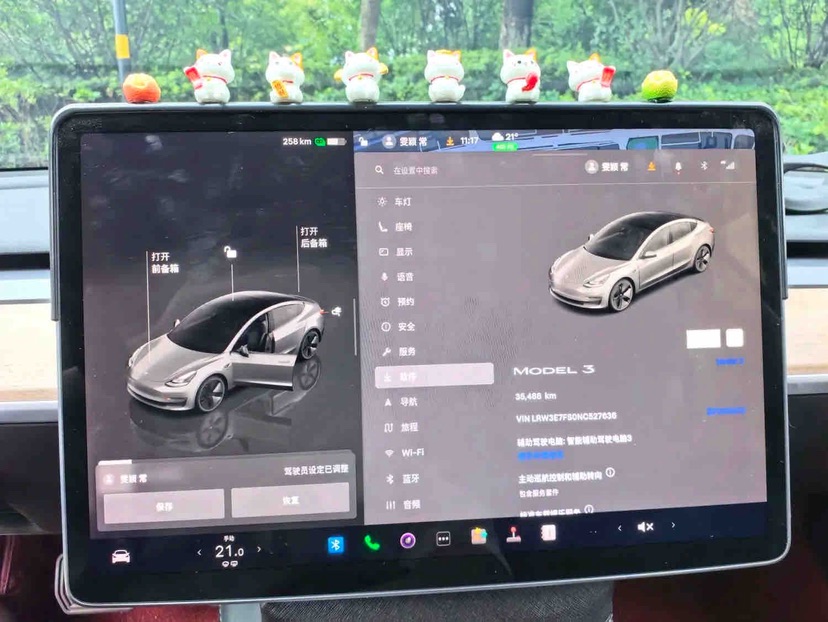 Tesla Model 3 2022 car image #7