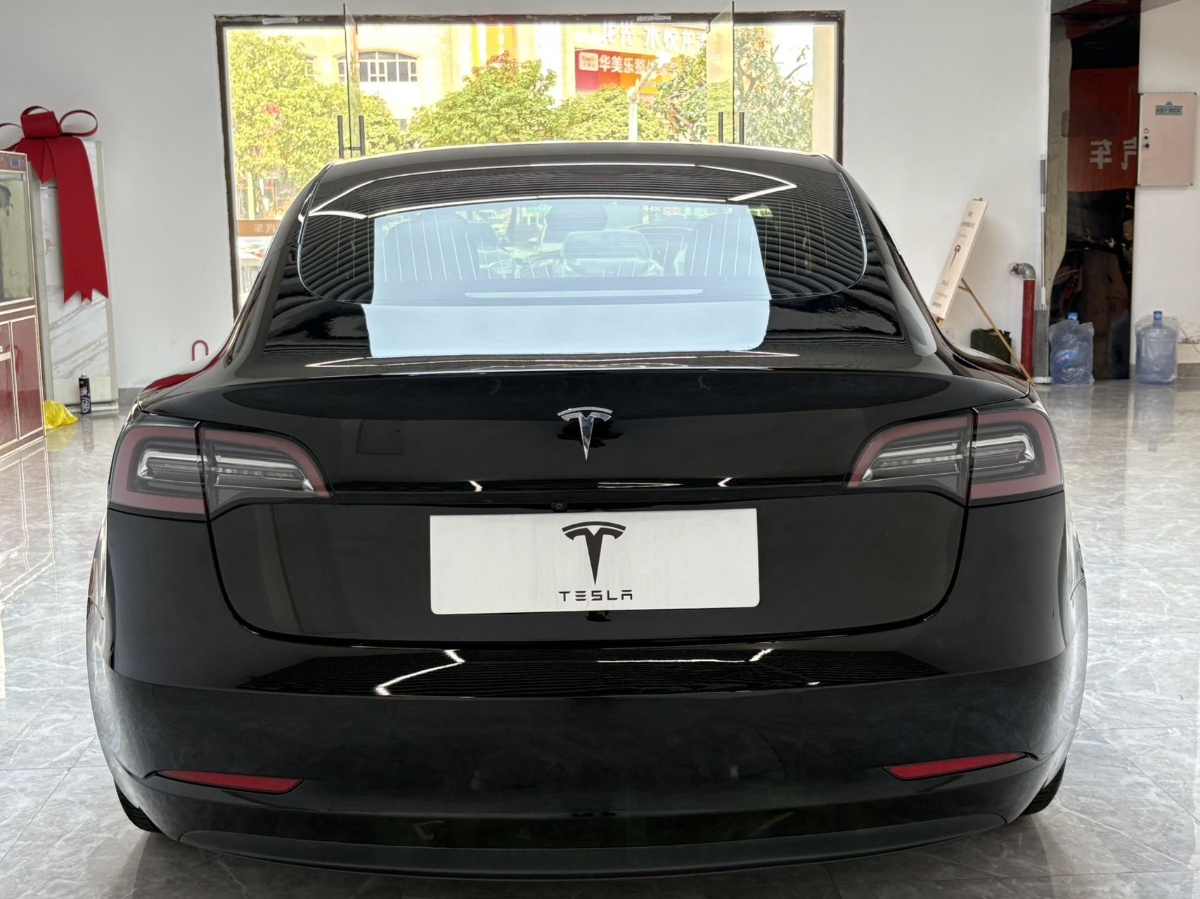 Tesla Model 3 2020 car image #8