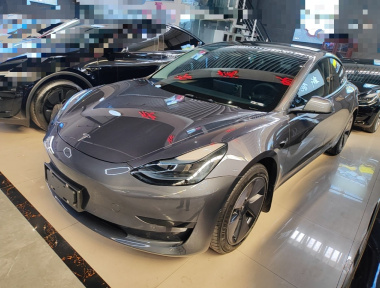 Tesla Model 3 2022 Tesla Model 3 2022 car image