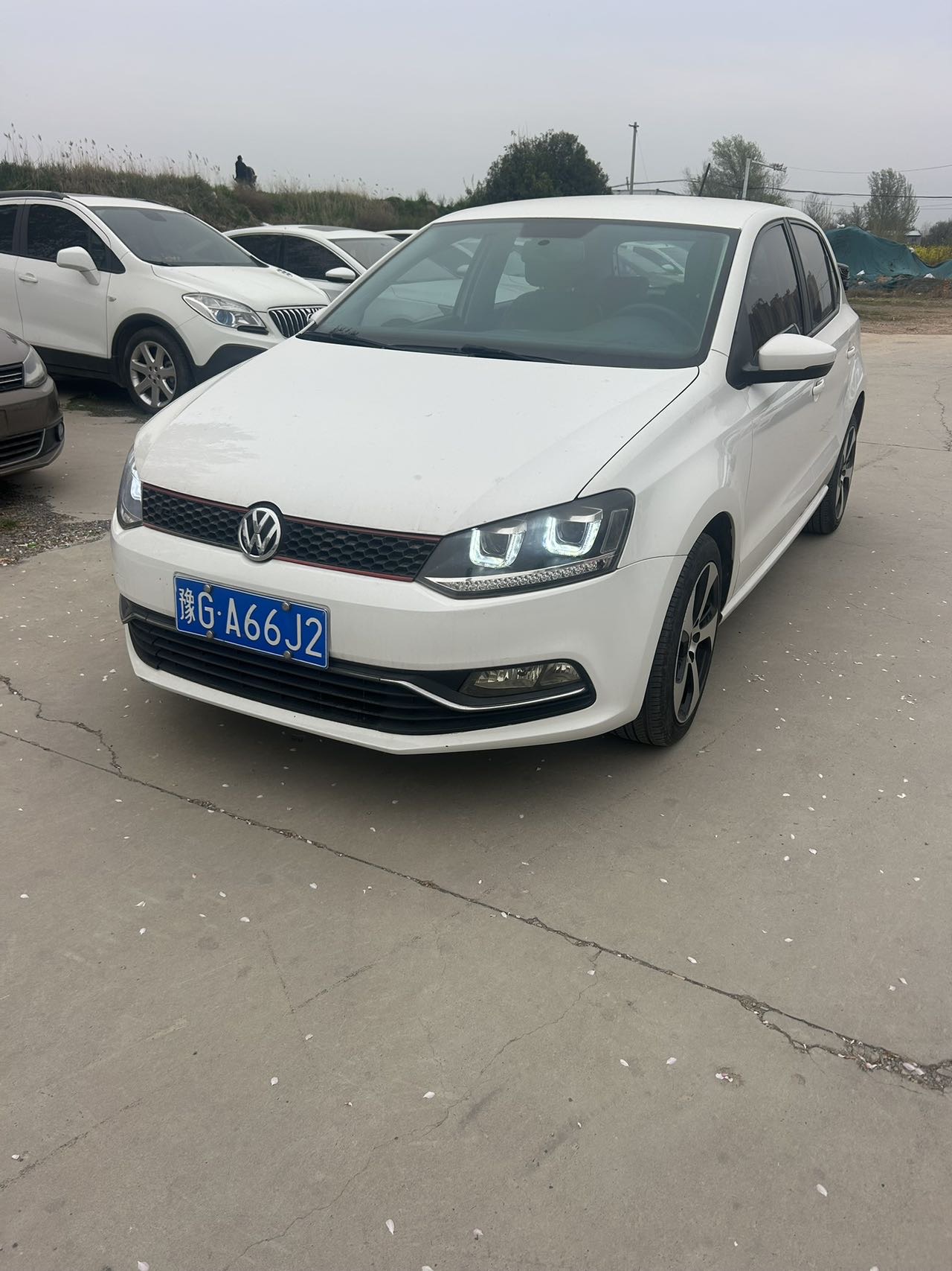 Volkswagen Polo 2017 car image 