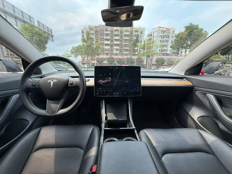 Tesla Model 3 2020 #8 Tesla Model 3 2020 car image #8