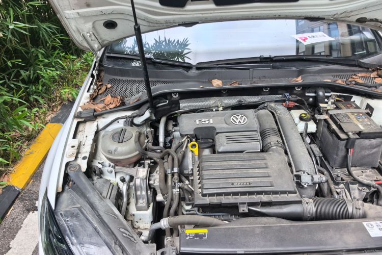 Volkswagen Golf 2019 #24 Volkswagen Golf 2019 car image #24