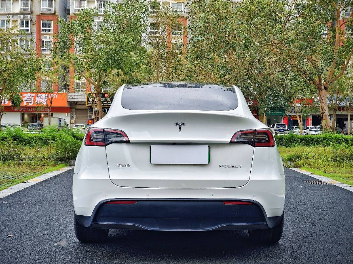 Tesla Model Y 2023 #5 Tesla Model Y 2023 car image #5