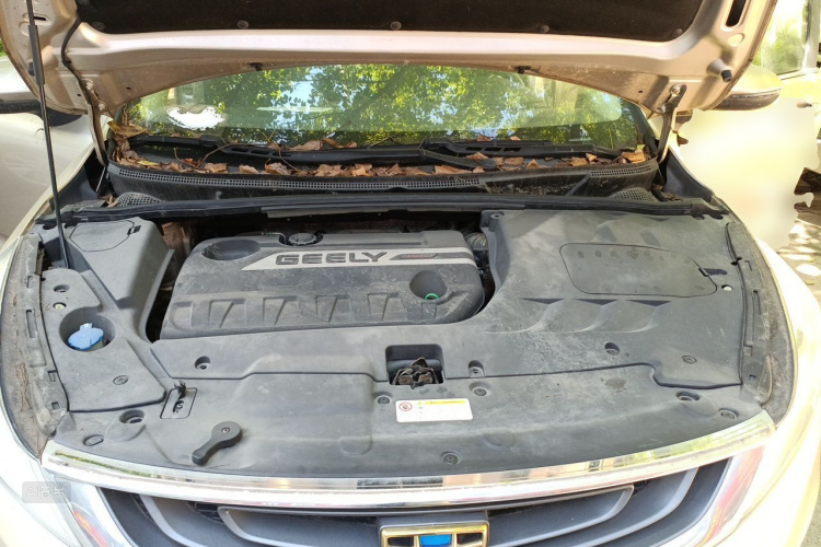 GEELY Emgrand GS 2016 car image #22