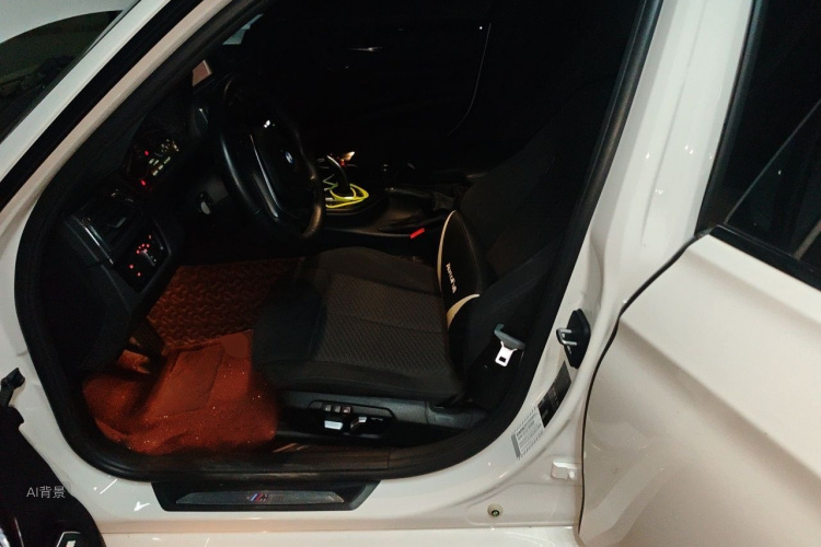 BMW 3 Series 2017 car image #17