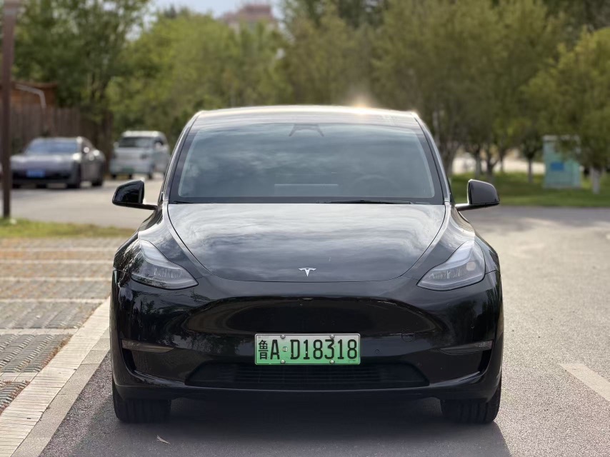 Tesla Model Y 2021 #2 Tesla Model Y 2021 car image #2