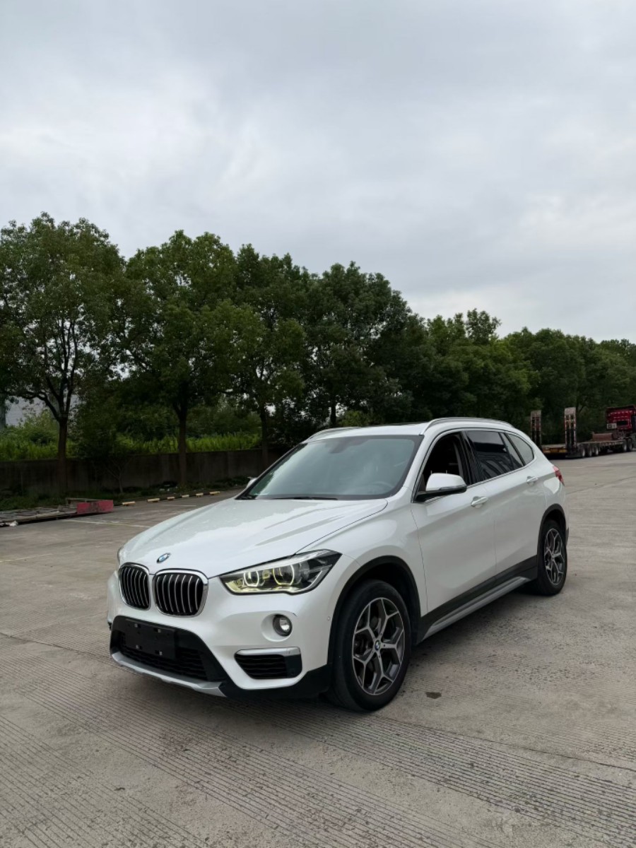 BMW X1 2019 car image 