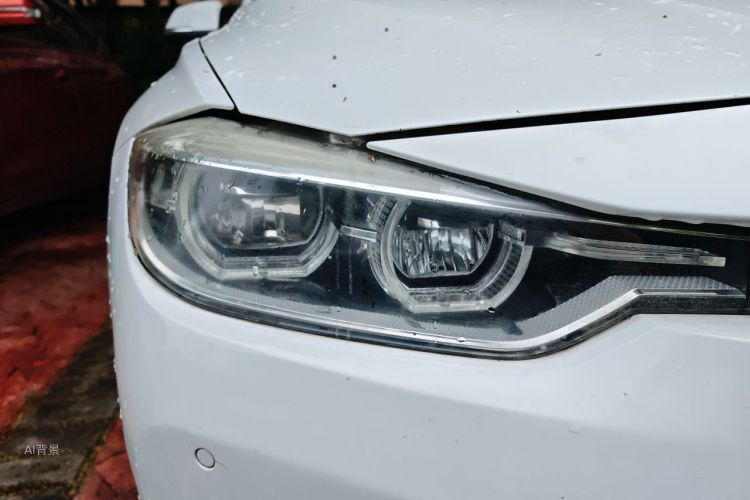 BMW 3 Series 2016 car image #8