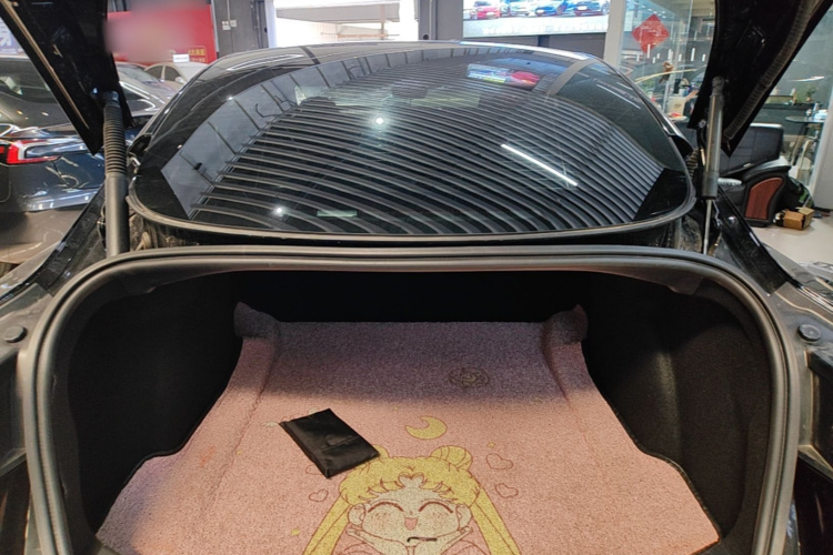 Tesla Model 3 2022 #19 Tesla Model 3 2022 immagine di auto #19