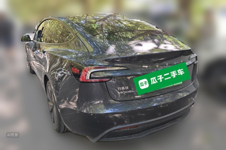 Tesla Model 3 2025 car image #5