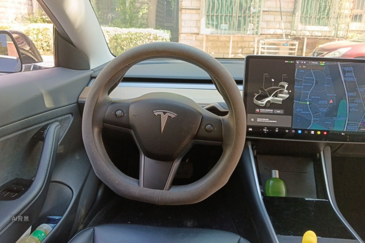 Tesla Model 3 2020 car image #12