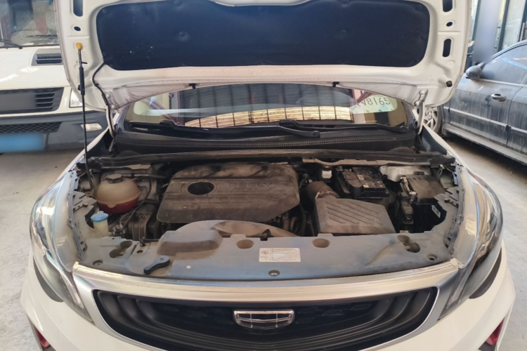GEELY Emgrand GS 2020 #22 GEELY Emgrand GS 2020 car image #22