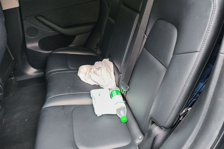 Tesla Model Y 2024 car image #14