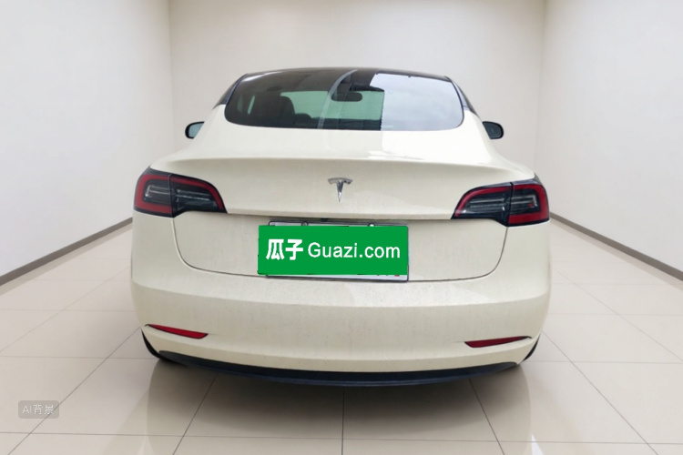 Tesla Model 3 2022 car image #6