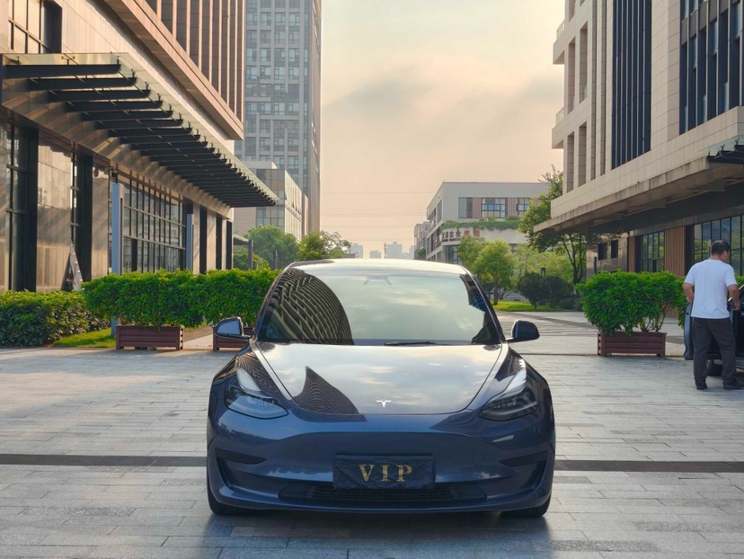 Tesla Model 3 2022 Tesla Model 3 2022 car image